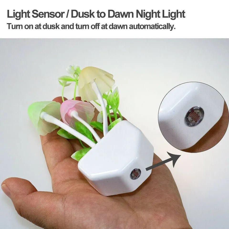 Dusk-to-Dawn Sensor Night Ligh